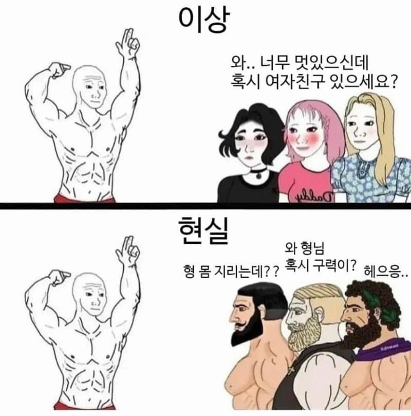 헬창들의 이상 과 현실차이