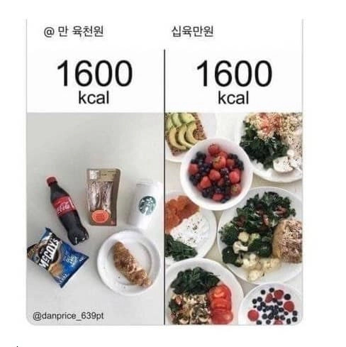 1600칼로 비교금액