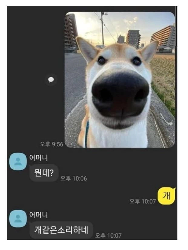 개같은소리하네 ㅋㅋ