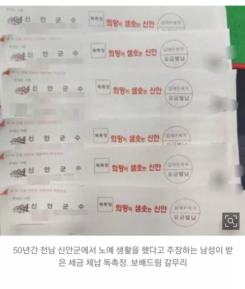 신안군 노예 탈출하자마자 세금폭탄 먹임