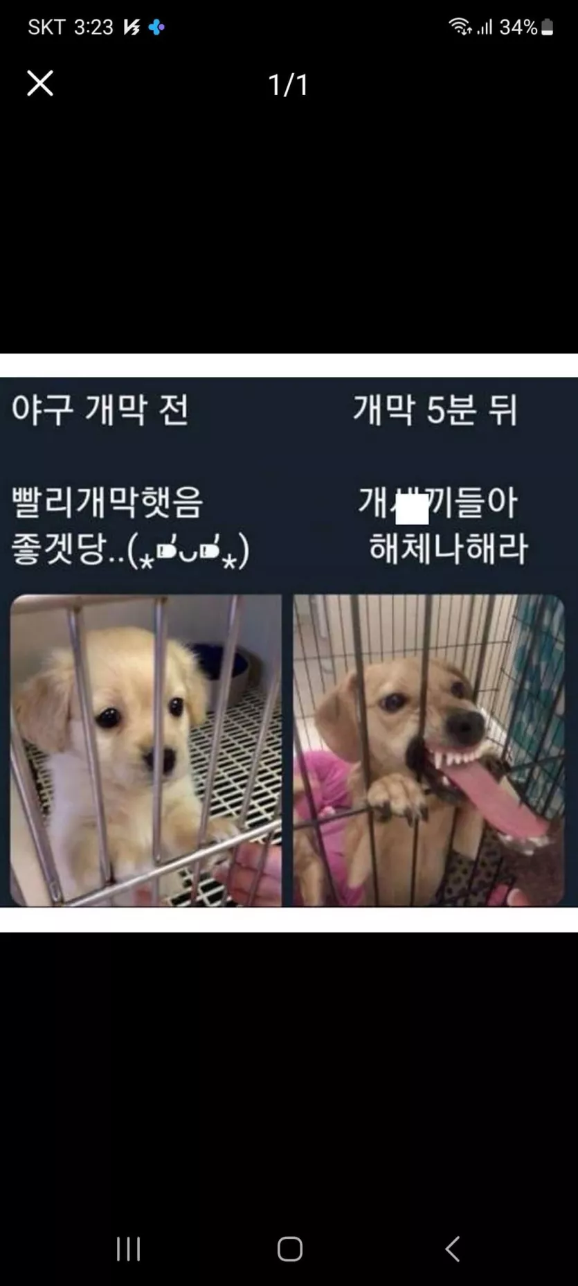 야구시즌 개막 전 과 후 의 우리모습 ㅋㅋㅋ