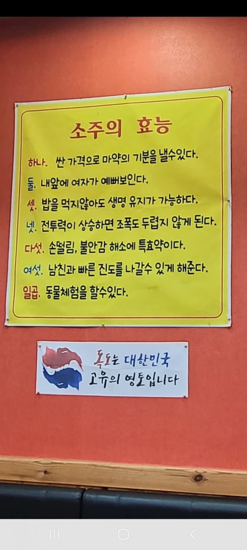 소주의 효능