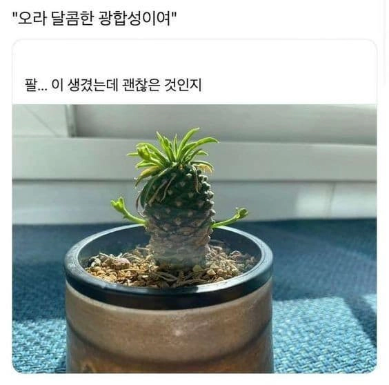 광합성중인놈  ㅋㅋ