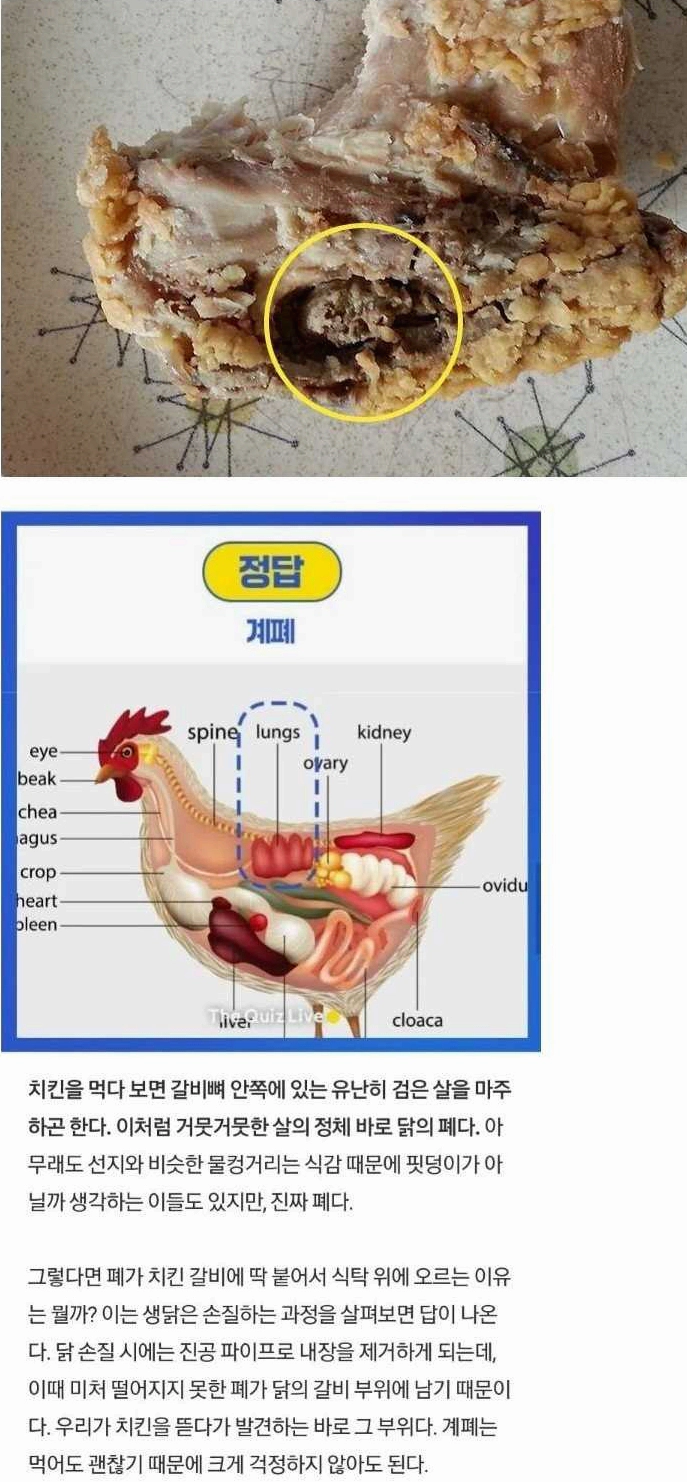 드디어 찾았다