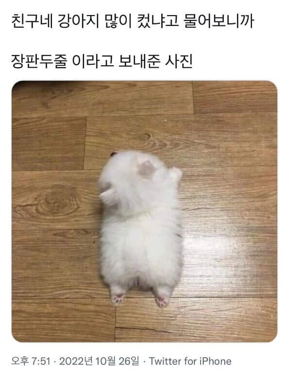 귀여운 사이즈네 ㅋㅋㅋ