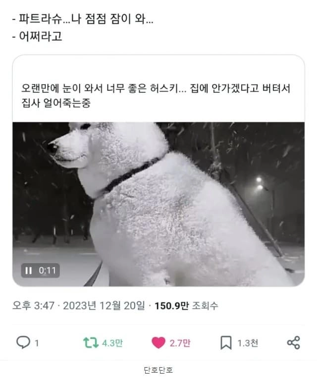 현실판 파트라슈 ㅋㅋ