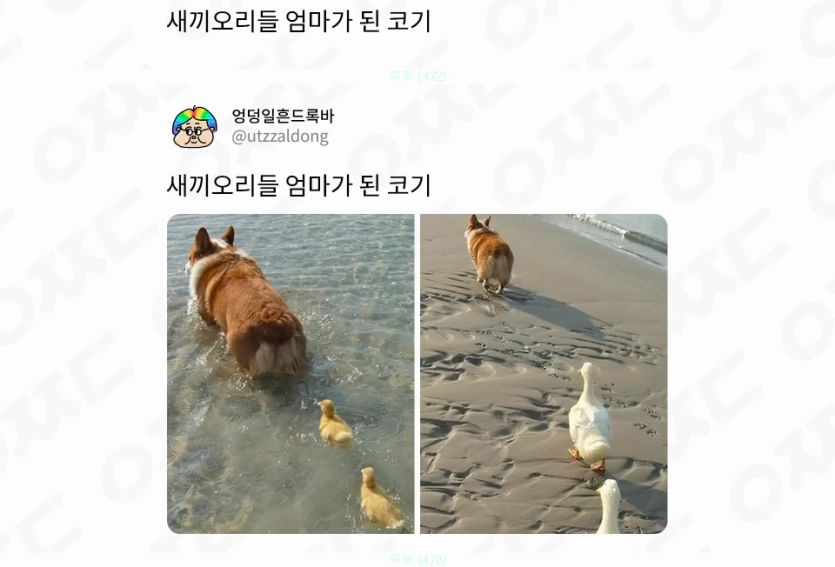 엉덩이로 새엄마된듯 ㅋㅋㅋ