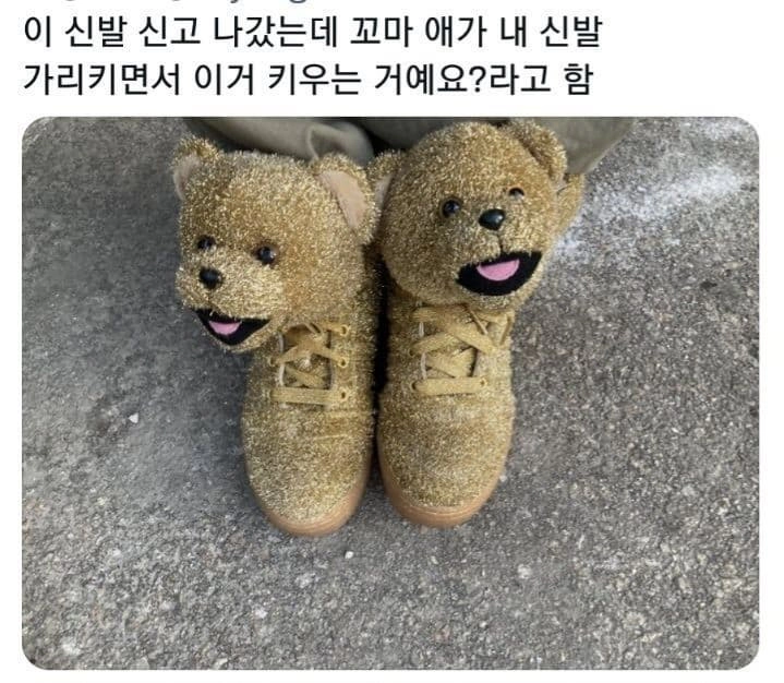 곰돌이 신발