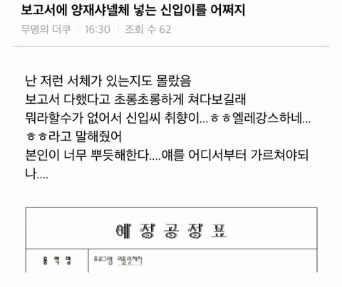 신입의 패기