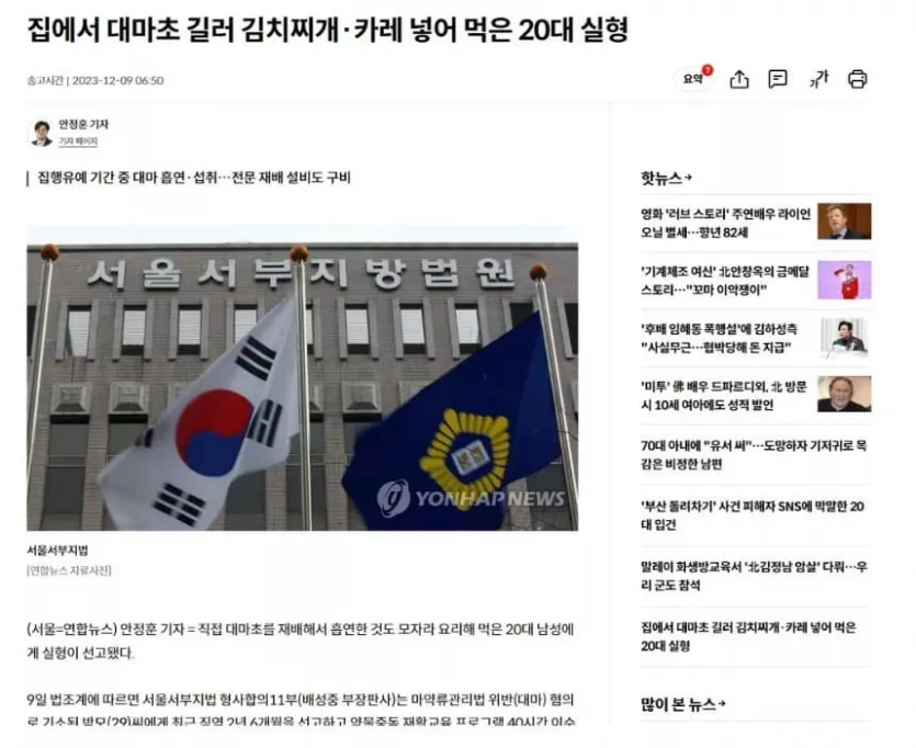 한국식 마약하는 법