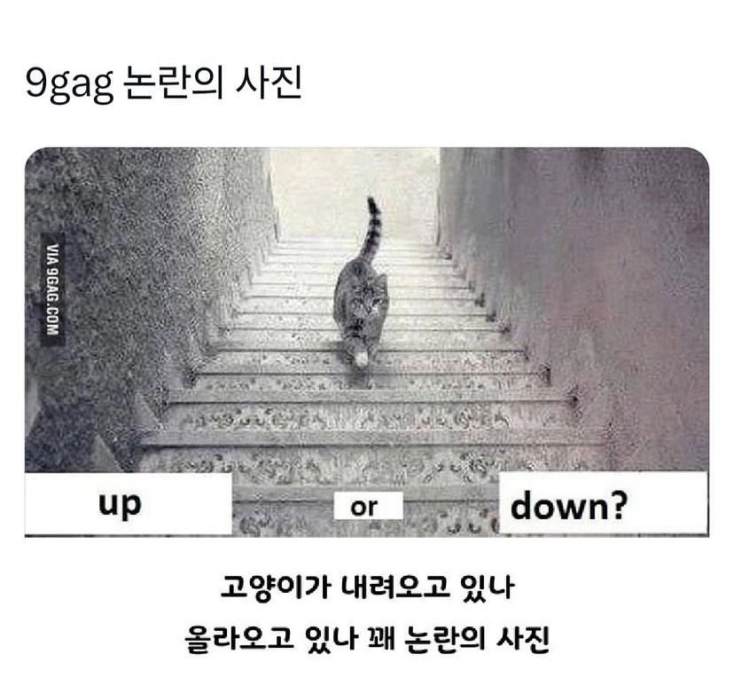 업 vs 다운 논란의 사진