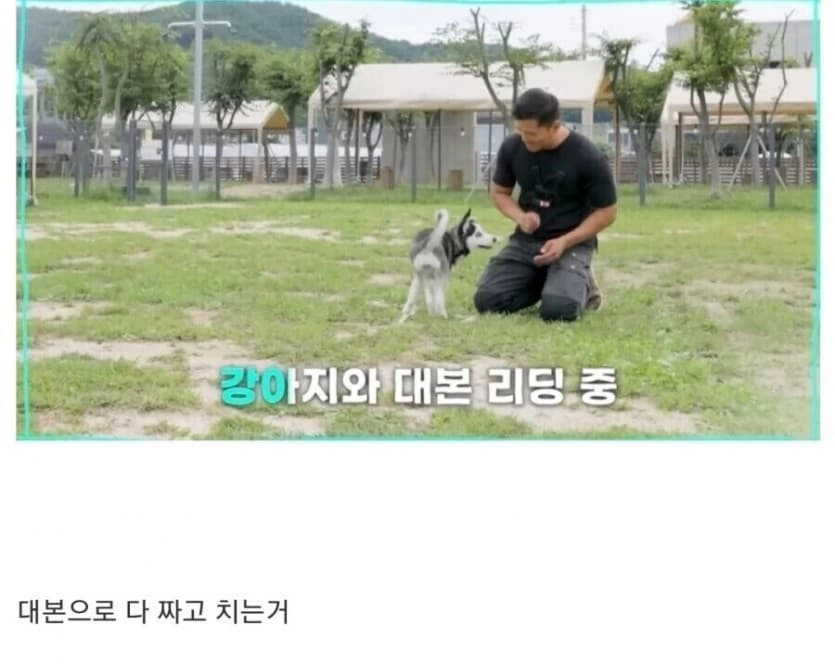 강형욱 배신감 느끼게 하네