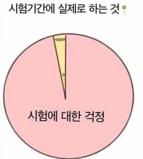 시험기간에 실제로 하는것