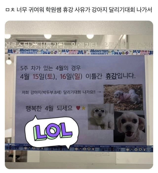 학원선생의 귀여운 휴강사유