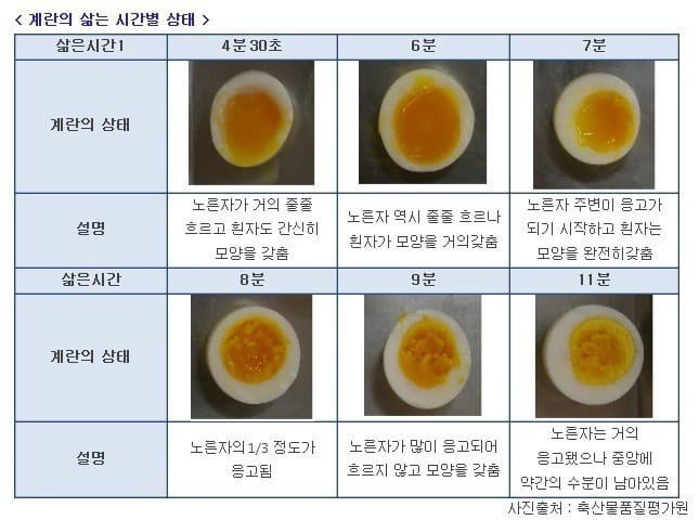 삶은계란 시간별 상태