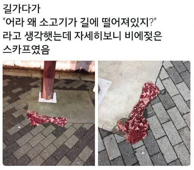 소고기 주울뻔