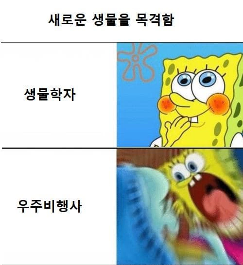 새로운 생물 목격했을때 직업별 반응