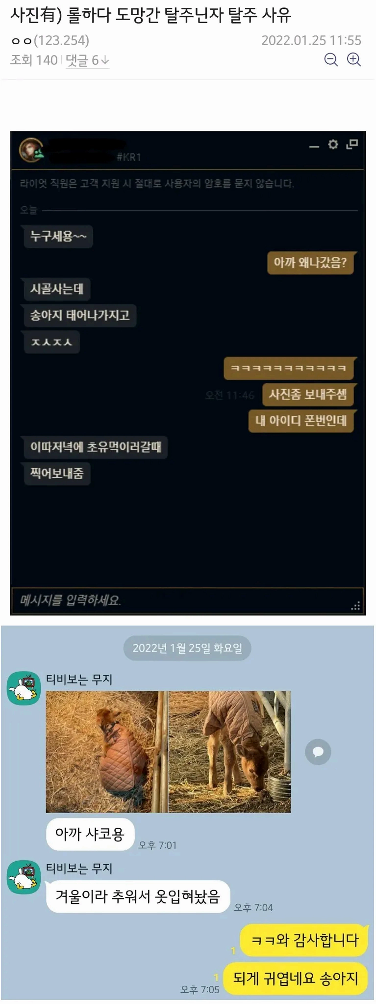 롤갤에 올라온 탈주사유 레전드