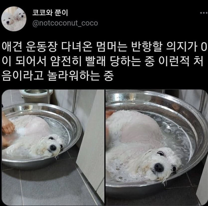 개탈진이란 이런거