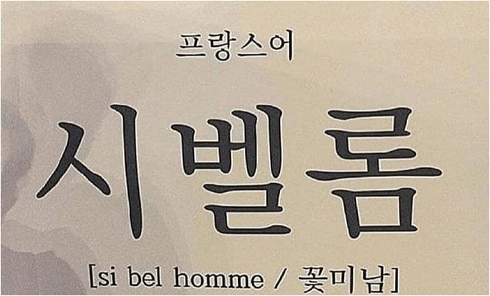 난감한 프랑스어