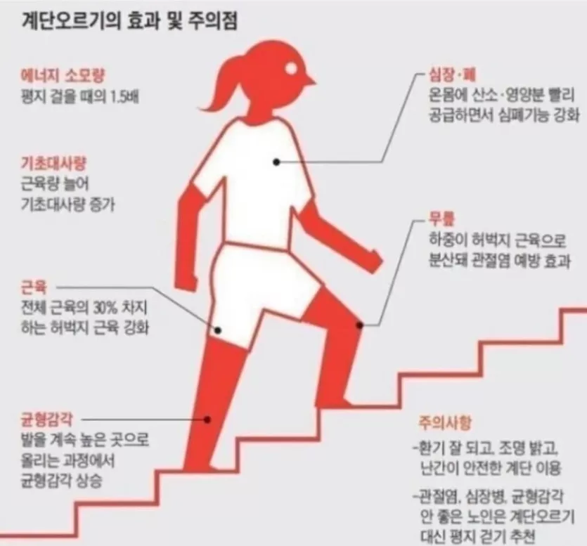 계단오르기의 효과