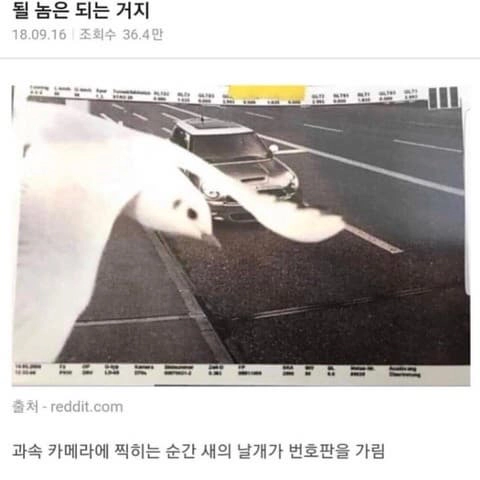 될놈될