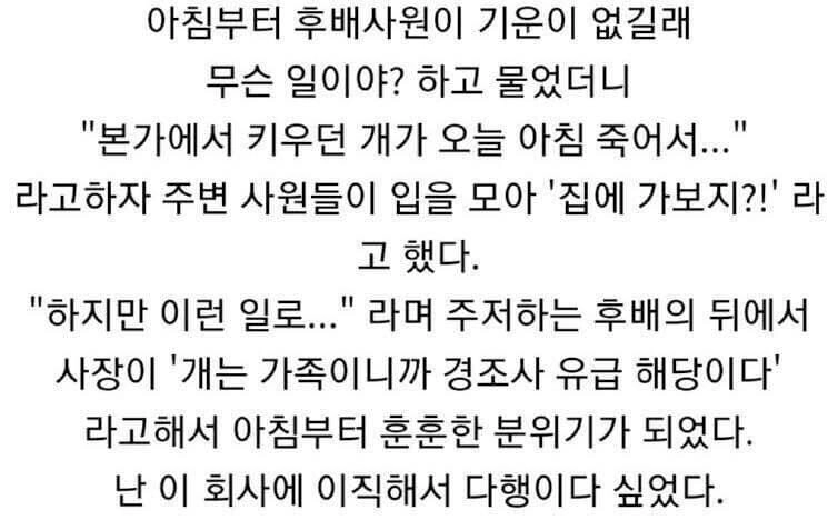 후배가족이 죽어서 회사가 훈훈해진썰