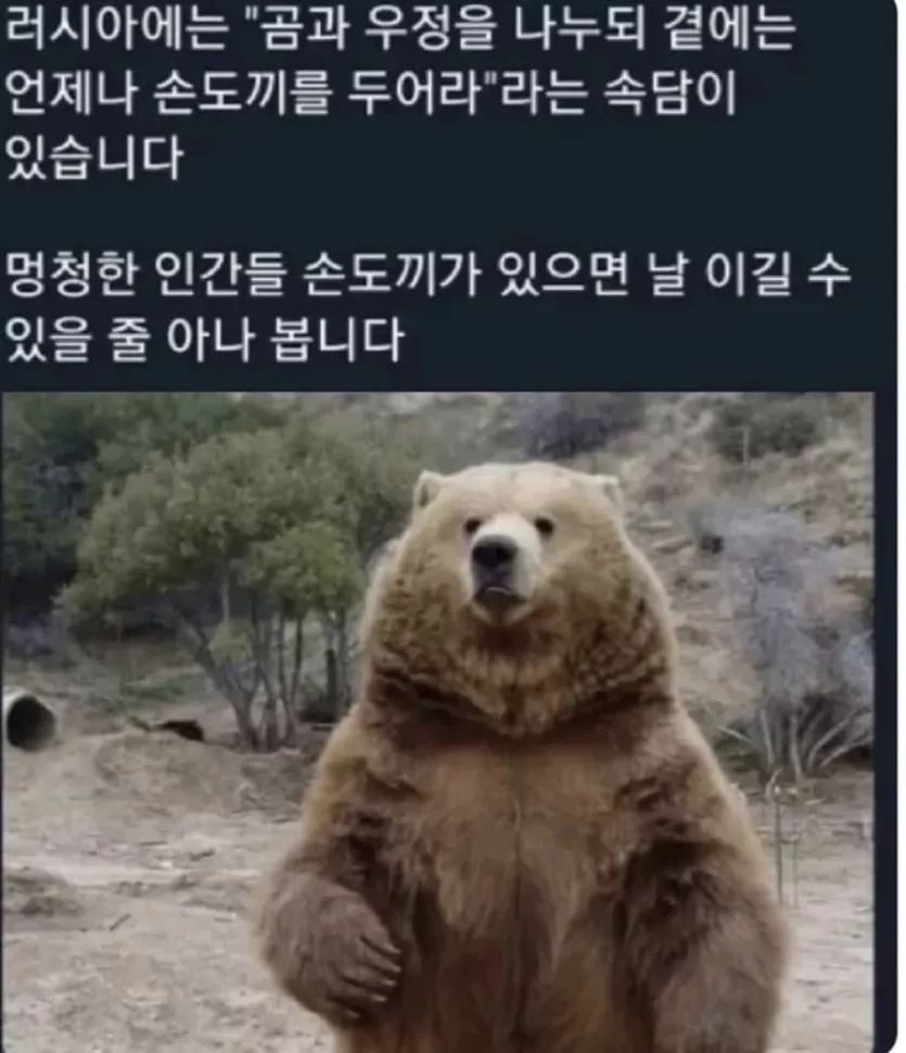 착각하는 러시아인들