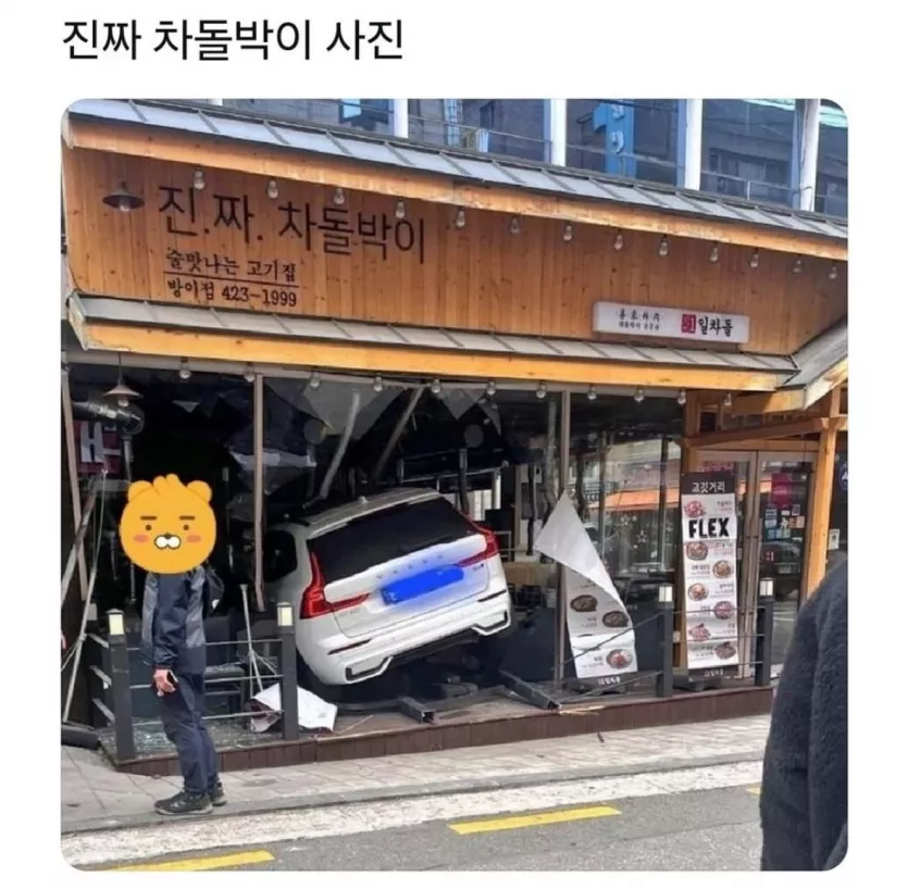 노린듯한 사고