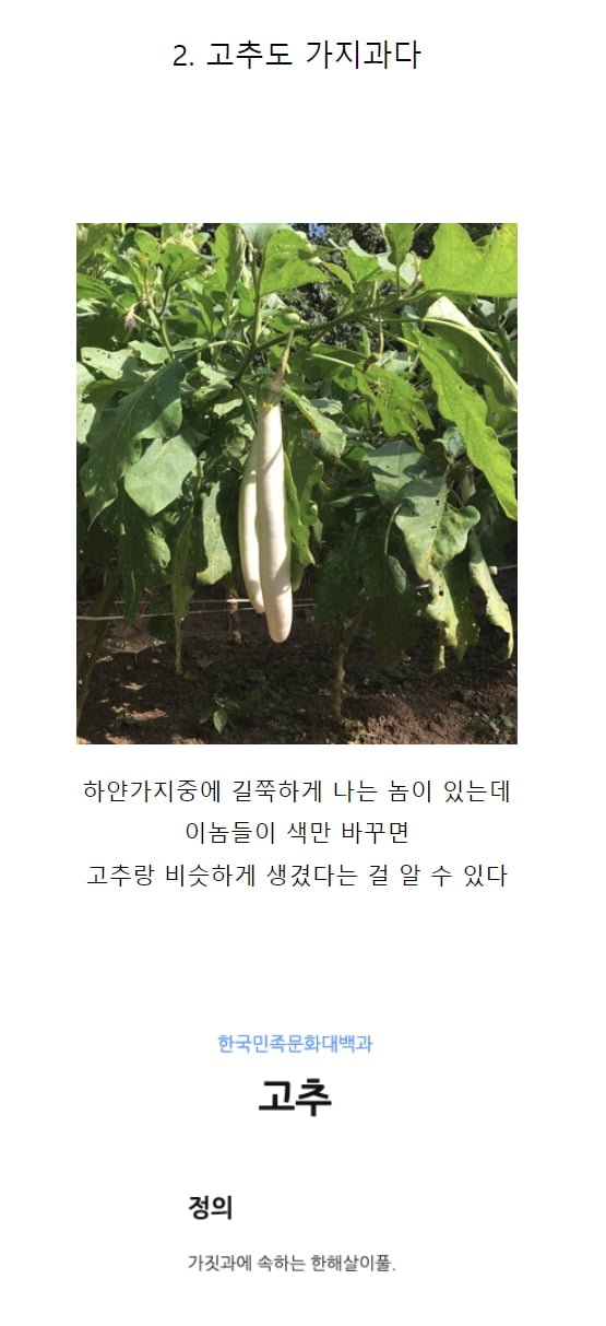 가지가지 하네 ㅋ