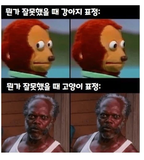 키워본 사람만 아는 표정