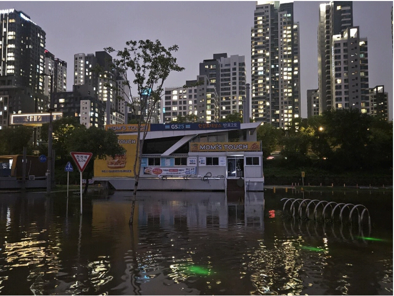 한강 편의점 근황