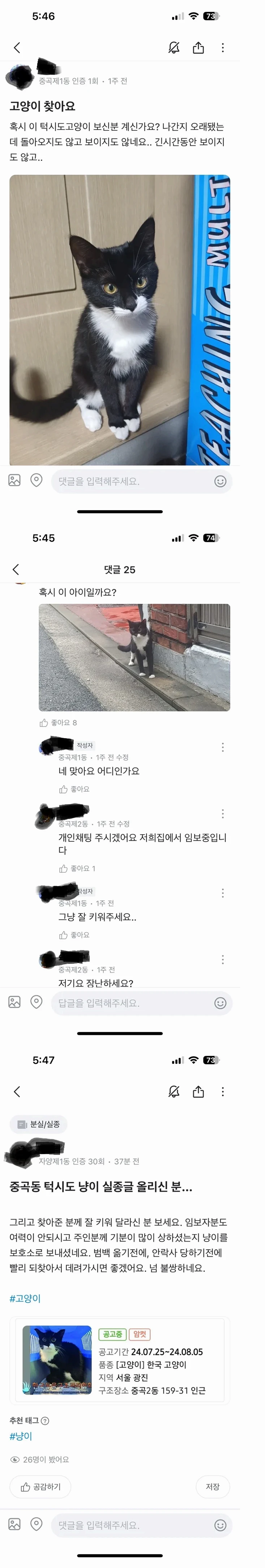 몇주전에 커뮤 돌았던 그냥 잘 키워주세요 고양이 근황