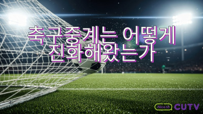 축구중계는 어떻게 진화해왔는가