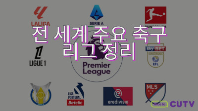 전 세계 주요 축구 리그 정리