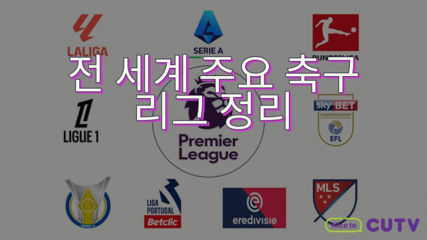 전 세계 주요 축구 리그 정리